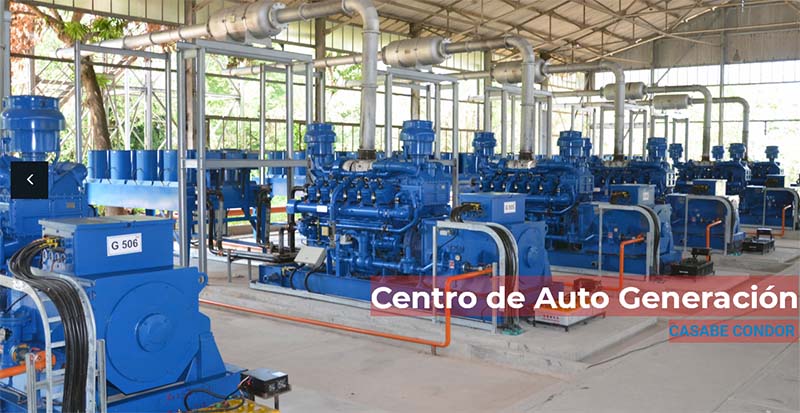 Gas Engine and Gensets.jpg